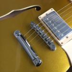 Hollow body Jazz electric guitar, Golden Jazz Guitar, Rosewood Fingerboard