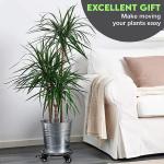 Sturdy Rolling Plant Stand Heavy-Duty Wrought Iron Plant Dolly for Floor