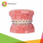 Power D Orthodontic Passive Self Ligating Brackets