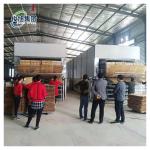 Wood Veneer Dryer with Fast Drying Speed and Low Energy Consumption