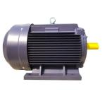 50HZ Asynchronous Electric Motor