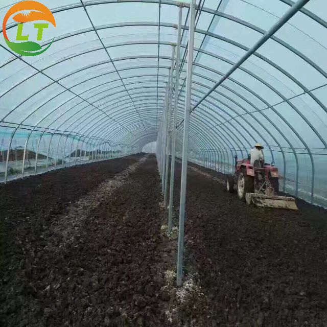 General Storage Greenhouse Skeleton for Small-Scale Mushroom and Vegetable Farming