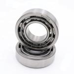 Brass cage P6 NU205 CLUNT Cylindrical Roller Bearing