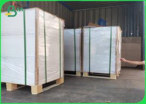 China 350gsm Take Out Food Container Paper Board FDA 15gr PE Sheet / Roll on sale
