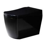 Full Black Intelligent One Piece Toilet Warm Water Washing