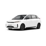 Byd D1 418km Fully Electric SUV 5 Seats Business Electric Mpv Car