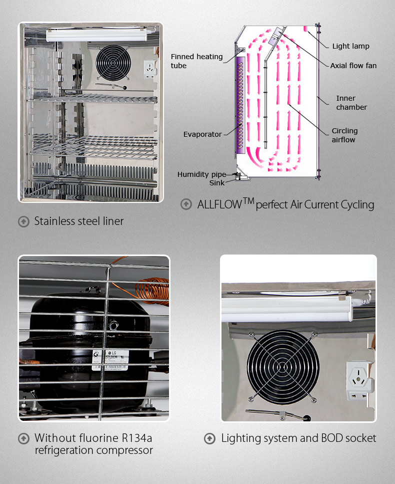 0-65C Laboratory Incubator Bacteriological Biological Cell Culture Incubator