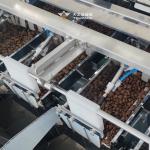 Pet Dog Food Packing Machine fish Food Packing Machine pet Food Pellet Packing