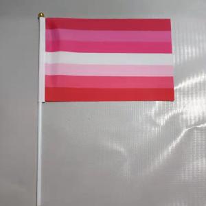 Quality Printed Double Sided Pride Flag Hand Held 100% Polyester Material wholesale