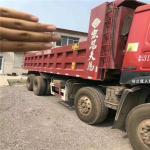 secondhand howo dump truck with good quality / 10 tyres howo truck/ 12 tyres