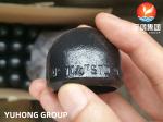 ASTM A234 WPB Butt Weld Carbon Steel Pipe Fittings Black Painting End Cap