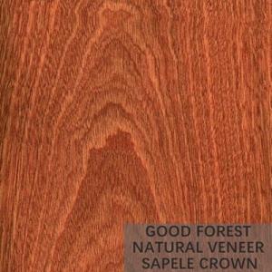 Quality Natural Sapele Wood Veneer Figured Wood Grain Veneer For Decoration wholesale