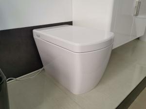 Quality Electric Bathroom One Piece Toilet , Smart Bidet Toilet Female Washing wholesale