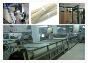 Quality Hanging Type Vermicelli Production Line , Drying Noodle Processing Line wholesale