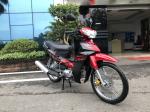 CHINESE CUB BRANDS 110CC CUB MOTORCYCLE