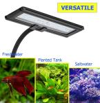 Blue White Clip On Saltwater Aquarium Light
