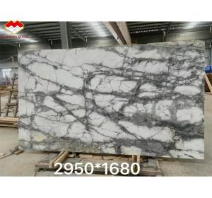 Quality Polished Arabescato White Italian Marble Slab for Modern Wall and Round Dining Table wholesale