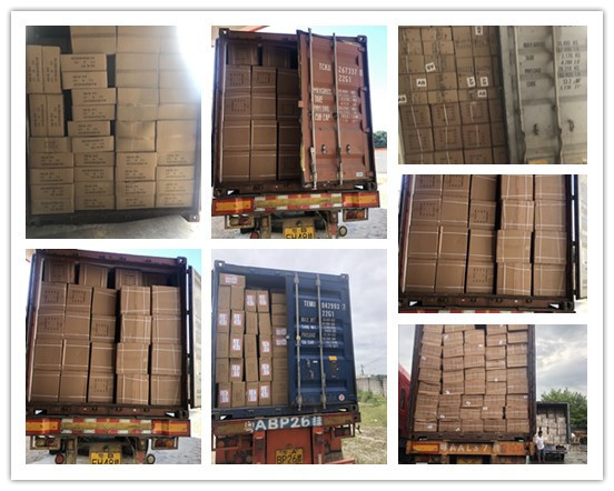 Auto Engine Filter 15400PLC004 15400-PLM-A01 15400-PLC-004 15400-PLC-003 15400-PC6-004 15400-PC6-003 Car Oil Filters For