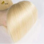 Raw 613 Virgin Blonde Brazilian Human Hair Bundles