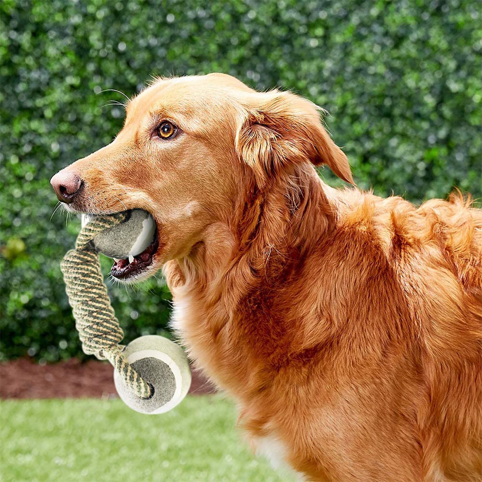 Dog Rope Toy Medium And Larg Toy Dumbbells Tennis Ball Cotton Rope Dog Chew Toy