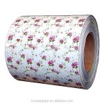 Color Coated S235 S275 Prepainted Galvanized Steel Coils PPGI SGCC PPGL Cold