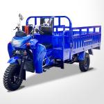 Motorized 800 W DAYANG 300 Petrol 3 Wheel Motorcycle and Tricycle for Heavy
