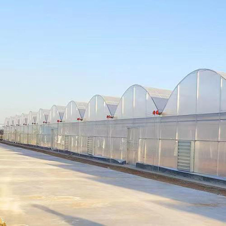 Poly Tunnel 200 Micron Plastic Film Greenhouse For Tomato Growing