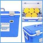 UN3373 Insulation thickness ≥25mm PE PP Shipping Box for Medical Samples