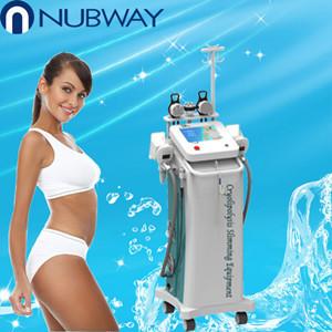 Quality 5 handles RFcryolipolysis slimming machine beauty equipment for beauty clinic wholesale