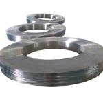 Cold Rolled Ss AISI 304 316 309s 310s 18mm Stainless Steel Strips