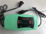 48v Motorcycle Car Lead Acid Battery Charger Pulse Repair With EU US UK AU Plug