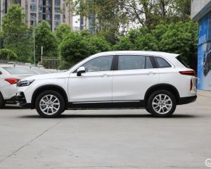 Quality Raysince good quality electric suv vehicle wholesales cheap price China electric vehicle new suv wholesale