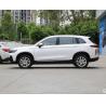 Buy cheap Raysince good quality electric suv vehicle wholesales cheap price China electric from wholesalers