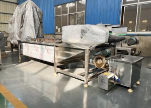 Quality Food Industry Fruit Vegetable Chili Air Bubble Washing Machine wholesale