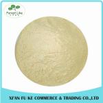 Excellent Quality Acid Proteinase / Acidic Protease Powder