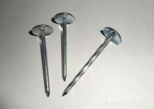 Quality Umbrella Head Galvanized Roofing Nails , Twisted Shank And Plain Shank Roofing Nails wholesale