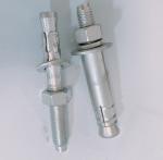 Coupling Connector Expansion Anchor Bolts Wall Wedge Anchor Screw Bolt 304 316