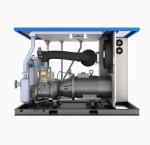 Two-Stage Scroll Industrial Compressors Oil-Less Stationary Micro-Air Compressor