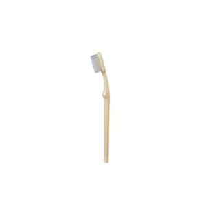 Quality Toothbrush Ivory Adult Medium wholesale