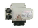 EPS Positioner 20S 50Nm 10W Smart Electric Actuator