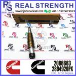 Diesel Common Rail Fuel Injector 1948565 2030519 2031836 2031835 2086663