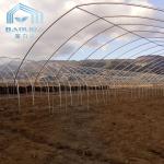 Agriculture Plants Growing Farming Polyethylene Film Single Span Tunnel Plastic