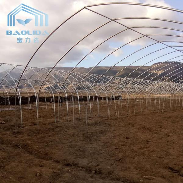 Agriculture Plants Growing Farming Polyethylene Film Single Span Tunnel Plastic