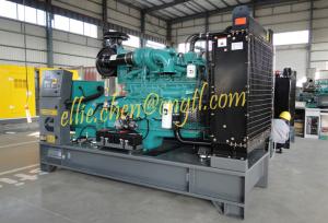 Quality 250KW Cummins power generation emergency power supply 313kva wholesale