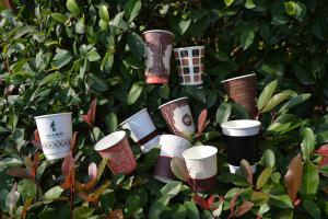 Quality Hot Coffee Cups wholesale