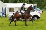 Equestrian Riding Arenas Specical Event Tent 20x100 Semi Permanent White Tent