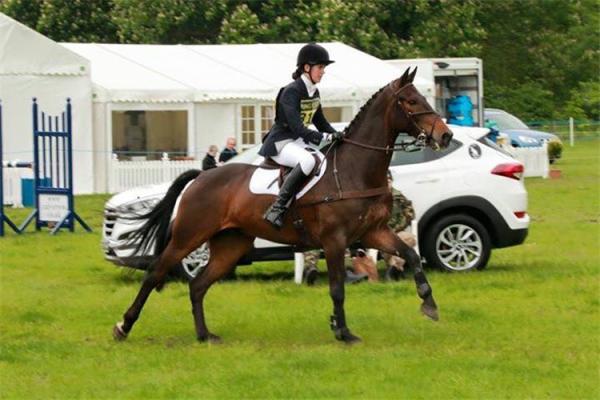Equestrian Riding Arenas Specical Event Tent 20x100 Semi Permanent White Tent