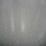 Refrigerator Prepainted Metal Galvanized Steel Coil PPGI / PPGL / PCM