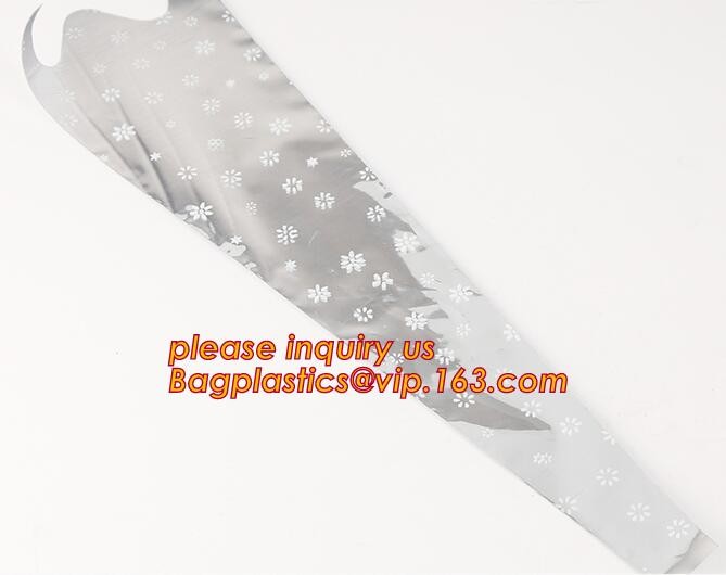 Biodegradable Resealable Clear Plastic Cd Sleeves album Packaging Bags,CD bag PP bag CD protective film for disk bag pac