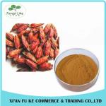 Reliable Manufacturer Supply Hot Products for Gardenia Jasminoides Ellis
